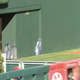 Illustration for article titled Bryce Harper Takes Phillies Pitchers Offering To The Toilet